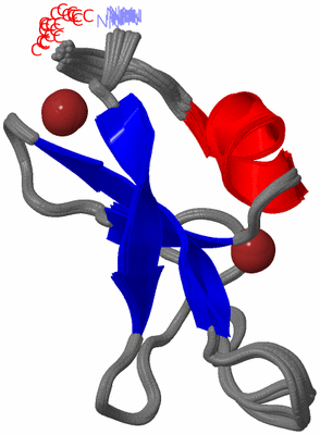 Image NMR Structure - all models