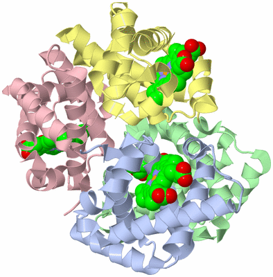 Image Asym./Biol. Unit