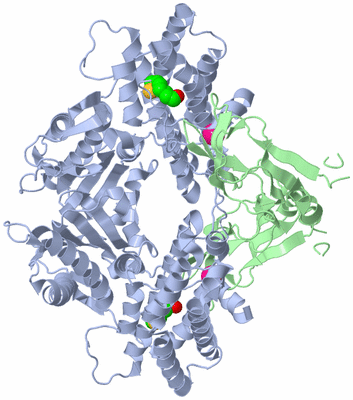 Image Biological Unit 1