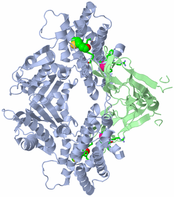 Image Biol. Unit 1 - sites