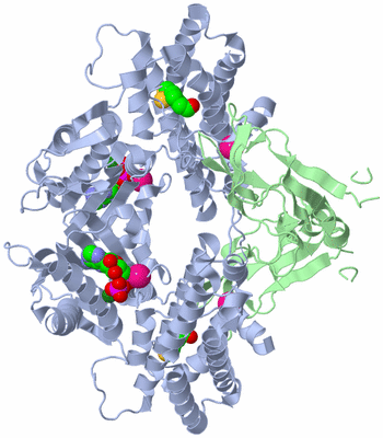 Image Biological Unit 1