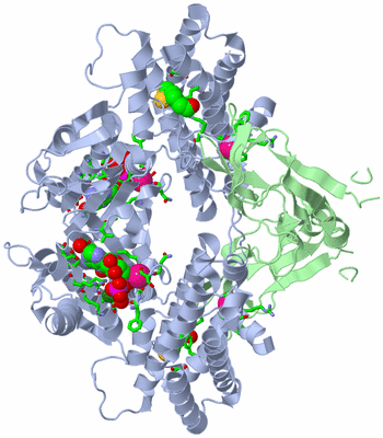 Image Biol. Unit 1 - sites