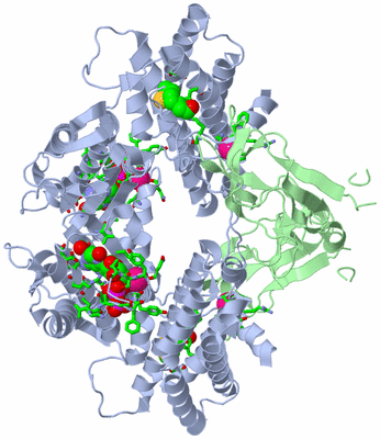 Image Biol. Unit 1 - sites