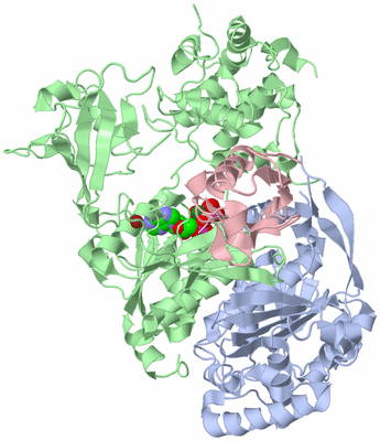 Image Biological Unit 1