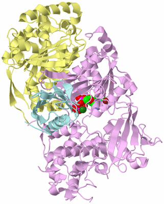 Image Biological Unit 2