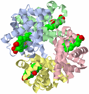 Image Asym./Biol. Unit