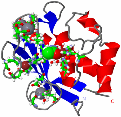 Image Asym./Biol. Unit - sites