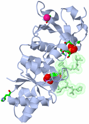 Image Biol. Unit 1 - sites