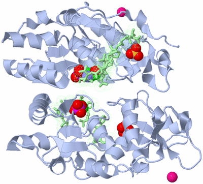 Image Biological Unit 2