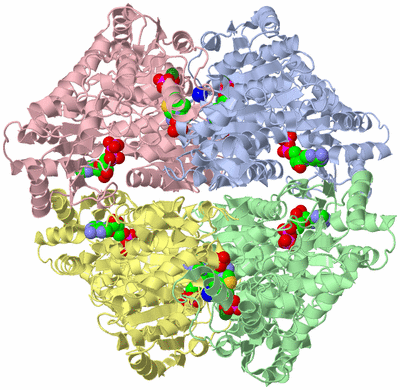 Image Asym./Biol. Unit