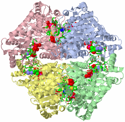 Image Asym./Biol. Unit - sites