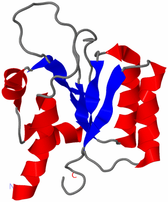 Image NMR Structure - model 1