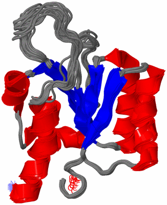 Image NMR Structure - all models