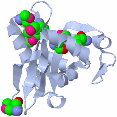 Image Biological Unit 1