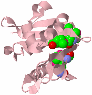 Image Biological Unit 3