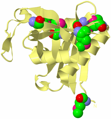 Image Biological Unit 4