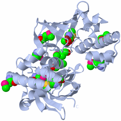 Image Biological Unit 1