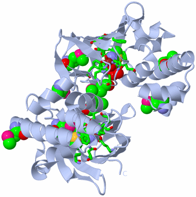 Image Biol. Unit 1 - sites