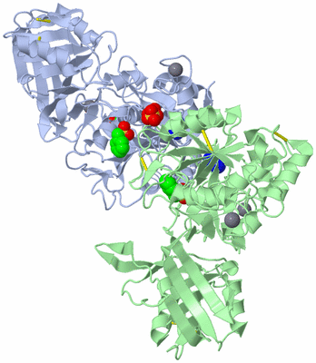 Image Asymmetric Unit
