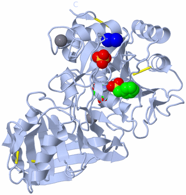 Image Biological Unit 1