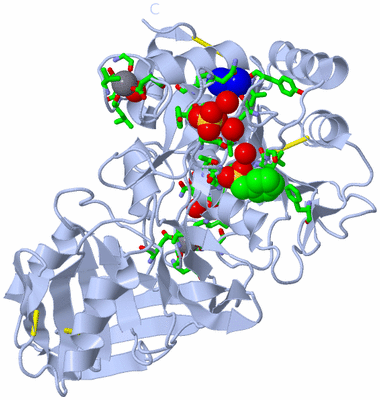 Image Biol. Unit 1 - sites