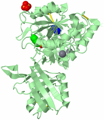 Image Biological Unit 2