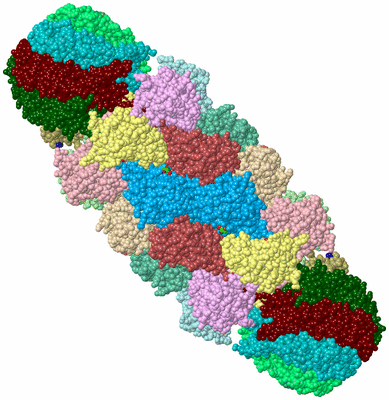 Image Biological Unit 1