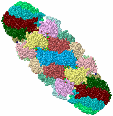 Image Biol. Unit 1 - sites