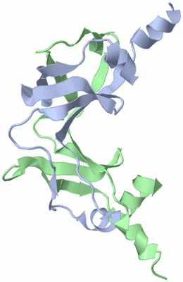Image Asymmetric Unit