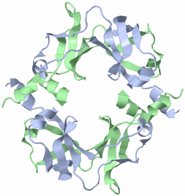 Image Biological Unit 3