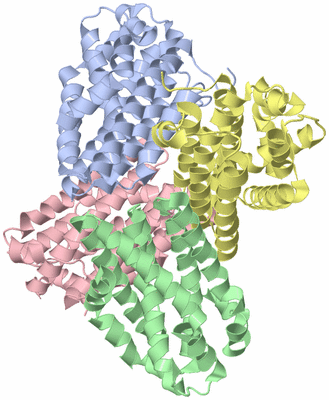 Image Asym./Biol. Unit