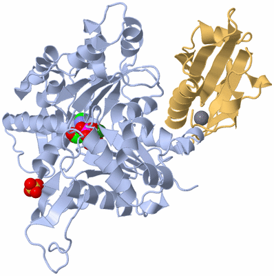 Image Biological Unit 1