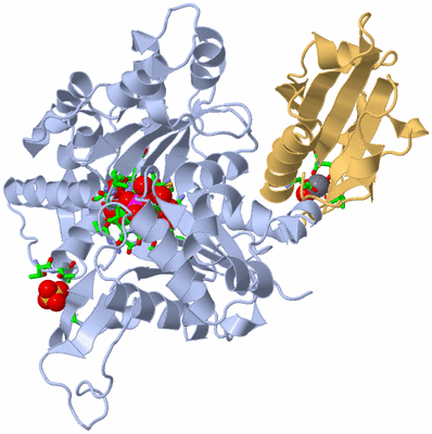 Image Biol. Unit 1 - sites