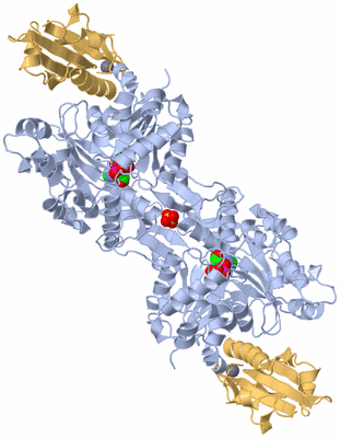 Image Biological Unit 2