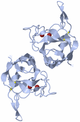 Image Biological Unit 1