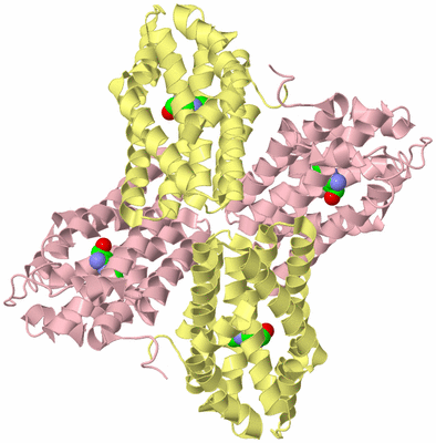 Image Biological Unit 2