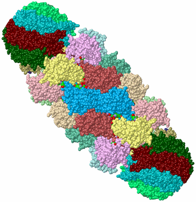 Image Biol. Unit 1 - sites