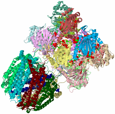 Image Asym. Unit - sites