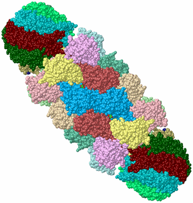 Image Biological Unit 1