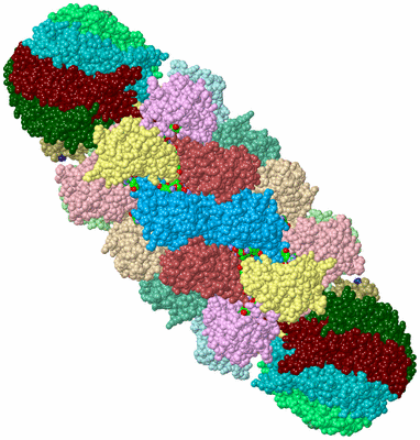 Image Biol. Unit 1 - sites