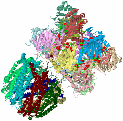 Image Asym. Unit - sites