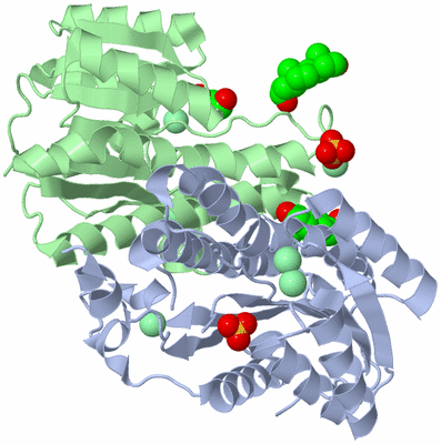 Image Biological Unit 1