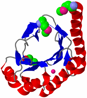 Image Asymmetric Unit