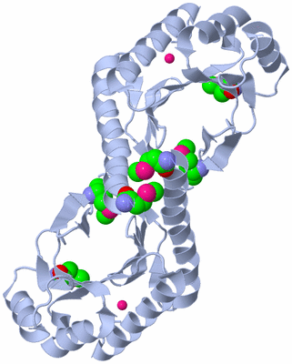 Image Biological Unit 2