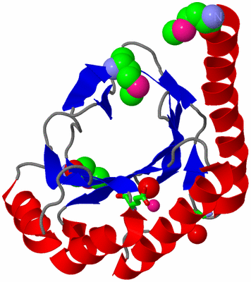 Image Asym. Unit - sites