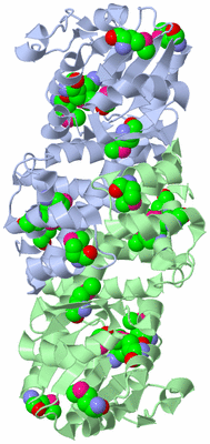 Image Asymmetric Unit