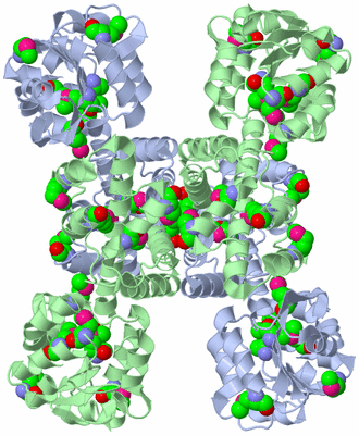 Image Biological Unit 1