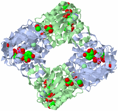 Image Biological Unit 2