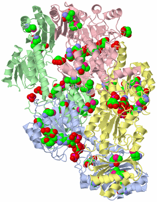 Image Asym./Biol. Unit