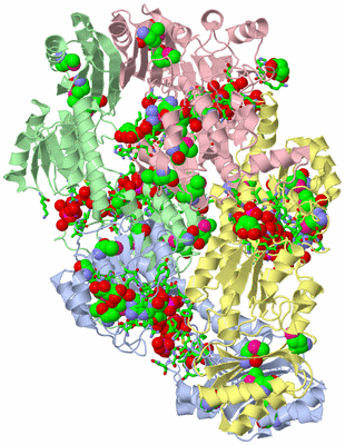 Image Asym./Biol. Unit - sites